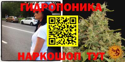гашик Рязань