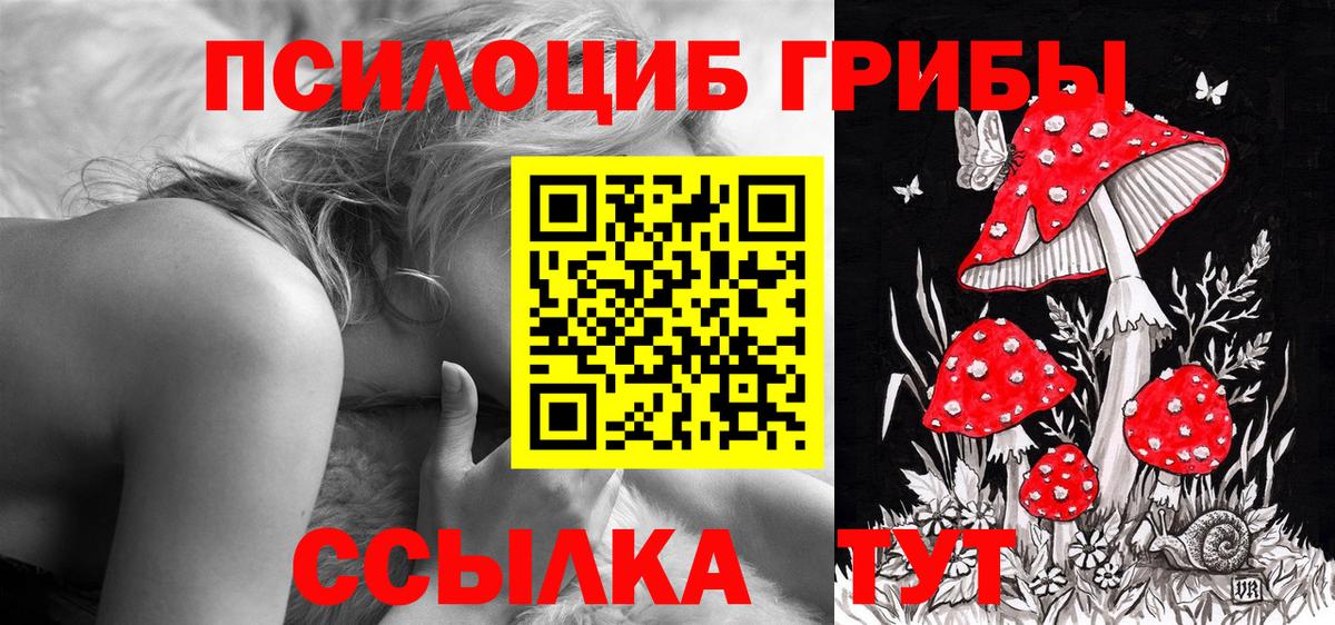 купить наркотик  Вход с VPN  Полевской  Галлюциногенные грибы прущие грибы 